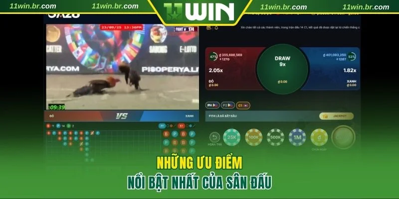 đá gà 11Win 2 4 thế mạnh nổi trội của đơn vị giúp thu hút khách hàng