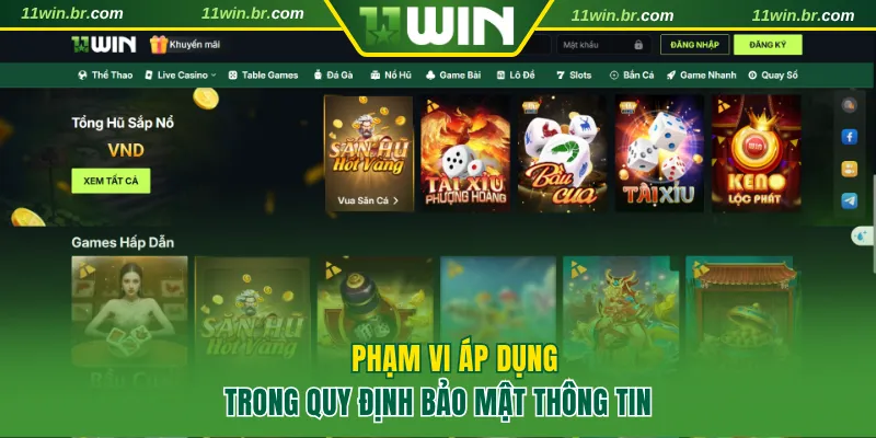 Chính Sách Bảo Mật 11WIN Lời Cam Kết An Toàn Hàng Đầu Châu Á 2 Phạm vi áp dụng trong quy định bảo mật thông tin